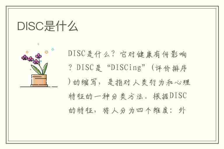 DISC是什么(disc是什么意思)